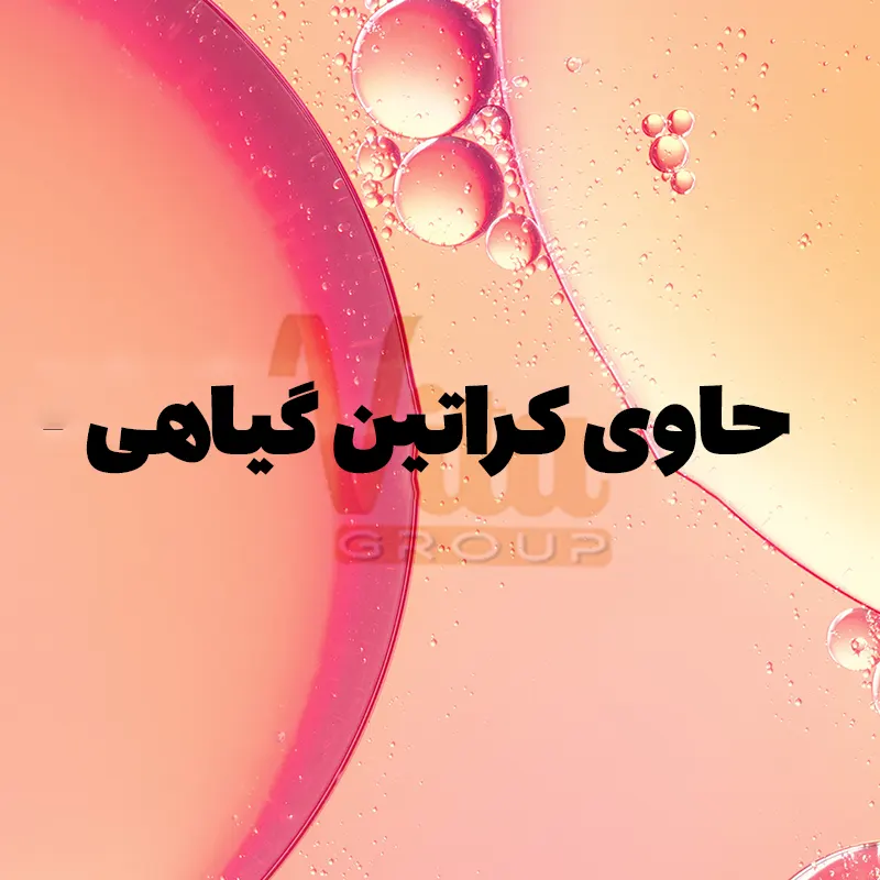 Loreal Dream Long Shampoo 3 شامپو لورال دریم لانگ نارنجی L'Oreal Dream Long حجم 300 میل