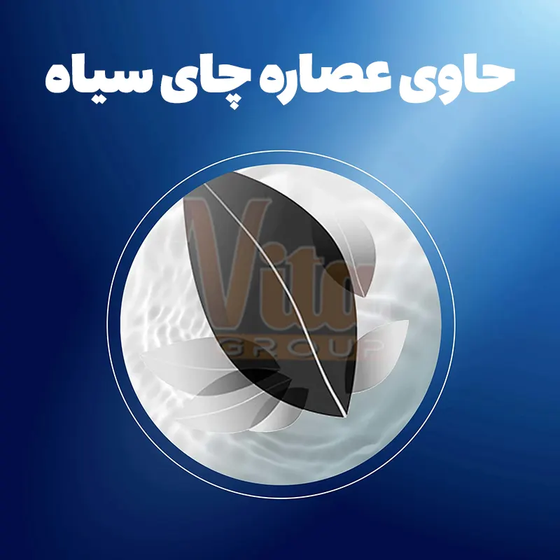OralB Ultrathin Black Tea Toothbrush 4 مسواک اورال بی التراتین چای سیاه Ultrathin بلک تی